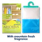 Absorbia Moisture Absorber Hanging Pouch | Mountain Fresh Fragrance | Odour Absorber & Dehumidifier for Wardrobe, Closet & Bathroom| Fights Against Moisture, Mould, Fungus & Musty Smells