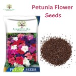 Countgreen Plus Petunia Flower Seeds Seed, 100 Per Packet