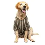 Ruse Green Striper Pure Rayon Half Sleeves Dog Collar Shirt - S