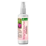 Mimansha Moringa Toner/ Facial Spray II Youthful Glow!