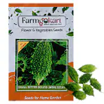 Farmgokart | 5 Gms BITTER GOURD SMALL (KARELA ) HYBRID F1 SEEDS | for Home Gardening, Farming & Hydroponics |