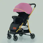StarAndDaisy Travel Elite Stroller/Parm for Baby/Kids, Easy Fold with Reversible Seat(Pink & Gold)