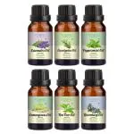 Young Chemist Eucalyptus, Peppermint and Rosemary Body Oil Hair Growth and Aromatherapy for Hair 90 ml Pack of 6
