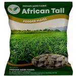 Iagrifarm African Tall Maize/Fodder Maize/Makka (Zea Mays) Fodder Seeds Pack of 3 Kg