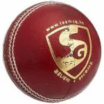 SG Leather Cricket Ball