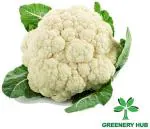 Greenery Hub Organic Cauliflower Seeds (10 Per Packet)