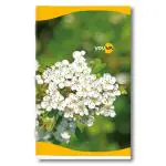 Navneet Youva| Soft Bound Long Notebook for Students| Size 17 cm x 27 cm| Feminine Series| Single Line| 172 Pages| Pack of 12