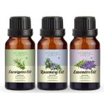 Young Chemist Eucalyptus, Rosemary and Lavender Body Oil Hair Growth and Aromatherapy for Hair 45 ml Pack of 3