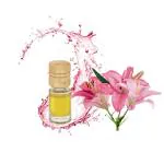 FULLHINT Hanging Car Perfume | Car Air Freshener 5ml with Lily Fragrance | Hanging Perfume for Car Interior | Long Lasting Fragrance | Hanging Perfume in Car | Open and Close Twist Feature | Car Hanging Perfume Bottle with Wooden Lid