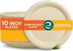 ALU-FRESHH ECO SOUL [10 inch, 100 Pack Disposable Bagasse Plates | Eco-Friendly, Biodegradable, Sugarcane Paper Plates | for Serving Snacks | Birthday, Wedding & Party | Round, Beige (25 cm)