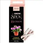 Asmi'S Garden Grey Grow Stick