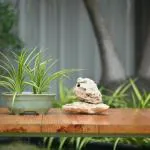 Plantlane Ceramic Oval Shape Large Pot/Planter For Plants (Light Green)