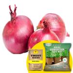 Trustbasket Multicolor Onion Hybrid Seeds With Free Germination Potting Soil Mix (1)