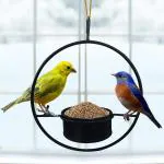 TrustBasket Bird Feeder Garden Bird Feeder, Hanging Feeder For Balcony Home, Office Use (Pack of 1)