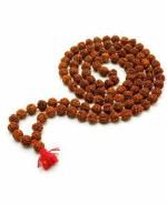 Zyana Dakshinavarti Annapurna Shankh