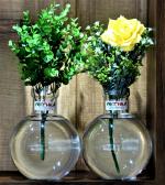 Round Glass Vase | For Money Plant | Lucky Bamboo Plant | Elegant Ball Shaped Vase | Flower Pot | Set of 2 vases 20X16 Cm Clear
