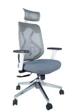 Magnus Seatings Casa Copenhagen VFX Collection - High Back Ergonomic Chair/Executive Chair/Gaming Chair/MD Chair- Grey
