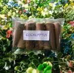 Happy Surroundings Eucalyptus Incense Cones (50 Cones)