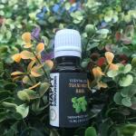 Happy Surroundings Tulsi Holy Basil Essential Oil (50 ml)