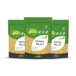 Gudmom Organic Foxtail Millet 500 g ( Pack Of 3 )