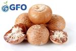 GFO Natural Areca Nut 500gm