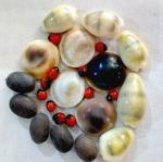 Pmw- Combo of Red Gunja/Chirmi Beads + Kamal Gatte + Kauri/Kaudi + Gomti Chakra (5 Pieces Each) for Puja, Worship, Protection & Lakshmi Pooja