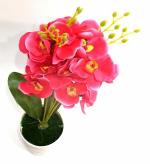 India Gardening Artificial Orchid Flower Plant for Indoor or Outdoor Decoration or for Home