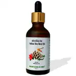 Buy Ancient Herbs of India Yellow bee nest Hair oil For Hair Fall and ...
