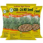 Iagrifarm CSH-24 MF (Nutri Gold) Sorghum Seeds - 2 Kg - Multi-Cut Forage Hybrid Seed with Fast Growth, Excellent Re-Growth