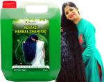 KURAIY Adivasi Neelambari best ayurvedic herbal Shampoo 1Ltr