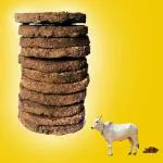 Bhuvaneshwari cow cake, cow cakes, cow cake dung, cow cake dunk, cow cake uppala, cow cake tapdi, cow cake for puja, cow cake for pooja ( 30 PCS )