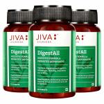 JIVA Digestall Tablets -120 Tablets (Pack of 3)