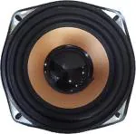 Barry John BJ-5-sw-GOLDEN 30 Watt Car 5.25 Inch Car Subwoofer with Deep Bass