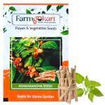 FARMGOKART|10 Gms ASHWAGANDHA Herb Seeds|for Home Gardening , Farming & Hydroponics|