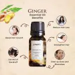 Narti Organic Natural Ginger Essential Oil 15ml,- focusing on ginger oil benefits, for skin care, hair care, and use in a diffuser: