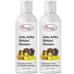 BadaHair Amla aritha shikakai hair shampoo set of 2 400 ML
