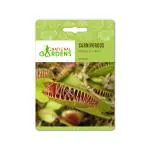 National Gardens Venus Flytrap Seeds - Dionaea muscipula (5 Nos)