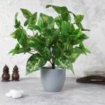 Elemntl Artificial Money Plant in Grey Pot