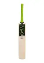 Gm Paragon Striker Kashmir Willow Cricket Bat Size 3 - Size 3