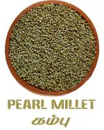 Innum Konjam Pearl Millet - 1KG ( Kambu| Bajra| Sajjalu| Sajje| Kambam )