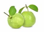 ONLINE PLANT BAZAR ALL TIME THAI SUPAR KIRAN(THAI-5) GUAVA PLANT-(PACK OF-1)