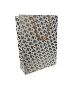 Tasche Paper Products Golden Star Design Paper Bags For Gifting Presents (28 x 20 x 7.6 cm) Pack Of 10