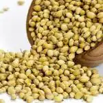 BHUMI-KA-AH Natural Coriander Seeds 500gm / Whole Dhaniya Seeds Indian Masala