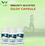 Life Charger Capsule Immunity Booster Ayurvedic Capsules for Men & Women | Add Drumsticks, Ganoderma, Elder & Rasp Berry Ext. | Energy & Stamina Booster Health Suplement | Enhances Immunity & Vitality | Immunity Multivitamin (Pack Of 3, 180 Capsule)