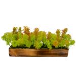 Fancy Mart Green Artificial Coriander Plant Bunch in Wood Planter 5 x 10 x 30 cm (FMDB-6354)