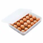 Dizaa Egg Storage Container for Kitchen and Dining Refrigerator Safe Egg Tray Container Egg Storage Basket for Fidge Plastic Egg Tray (Single Layer 24 Grid)