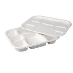 Vert-On White Sugarcane Bagasse 8 Compartments Compostable Meal Tray Natural Thali (Pack Of 25)