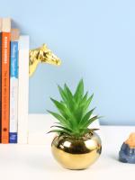 Fourwalls Artificial Succulent Plant in a Round Ceramic Pot for Home Décor (15 cms Tall, Green)