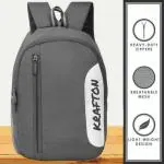 KRAFTON Grey Polyester Medium Waterproof Backpack for Men and Women - 22 L