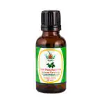KUNJ Tulsi Holy Basil Oil (Ocimum sanctum) 100% Pure & Natural Undiluted Therapeutic Grade. Steam Distilled. Skin care Hair care & Aromatherapy. 30ML